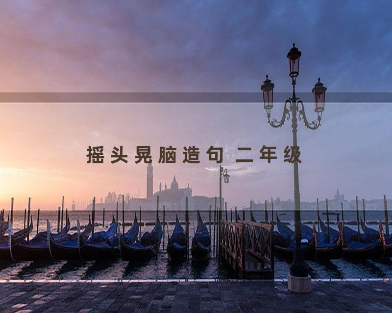 摇头晃脑造句 二年级