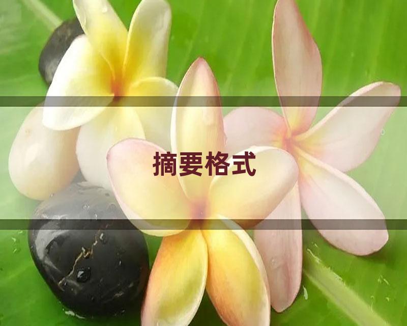 摘要格式