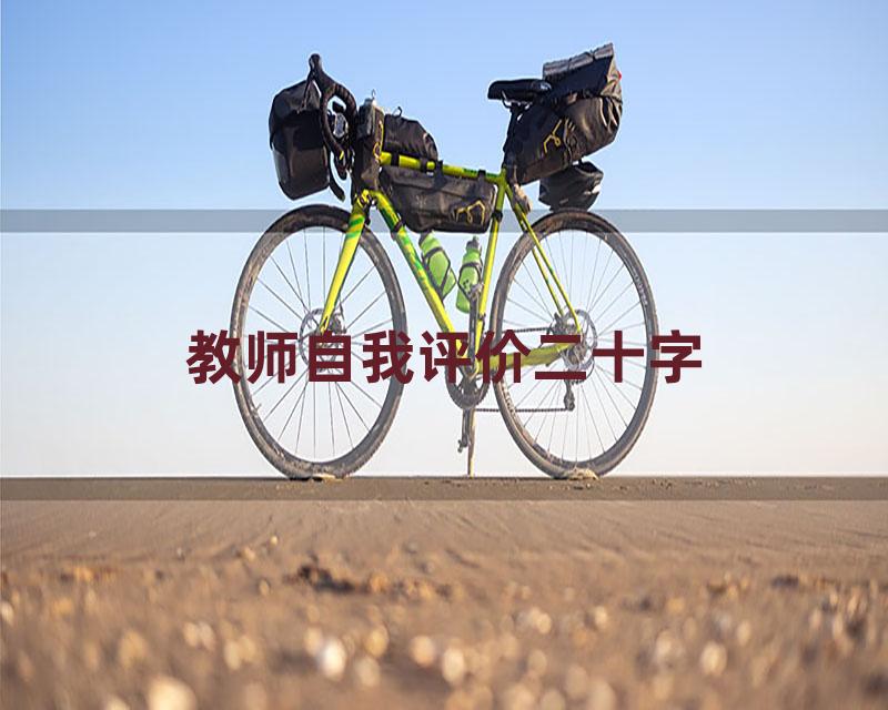 教师自我评价二十字