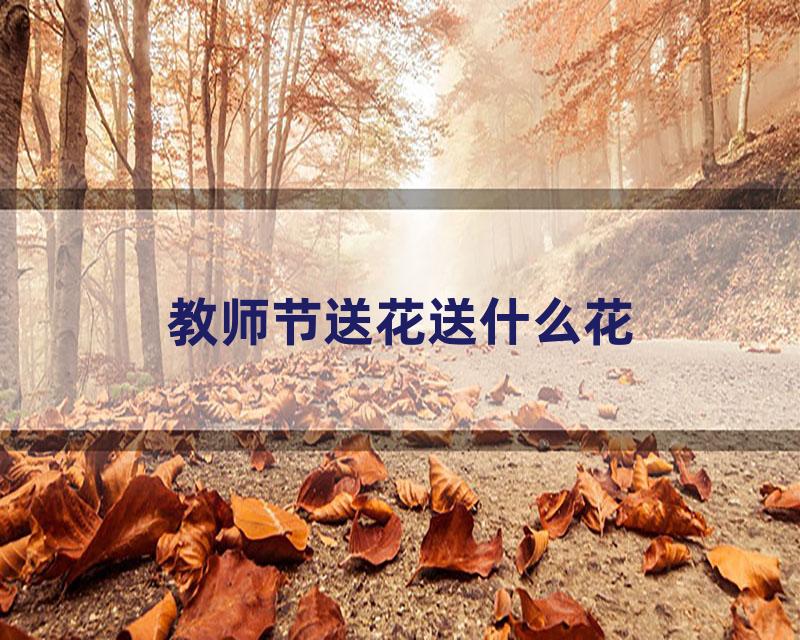 教师节送花送什么花