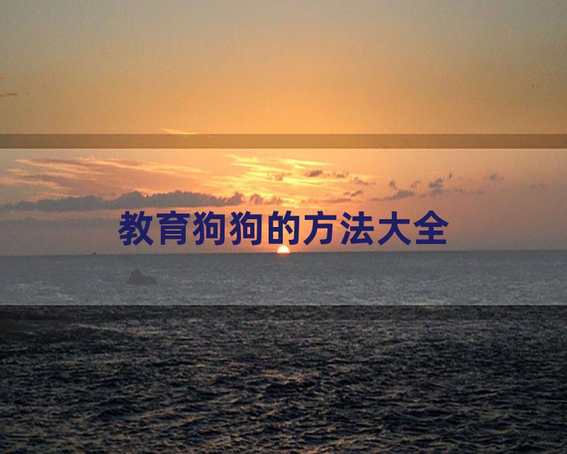 教育狗狗的方法大全