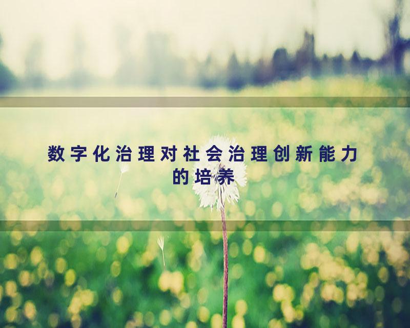 数字化治理对社会治理创新能力的培养