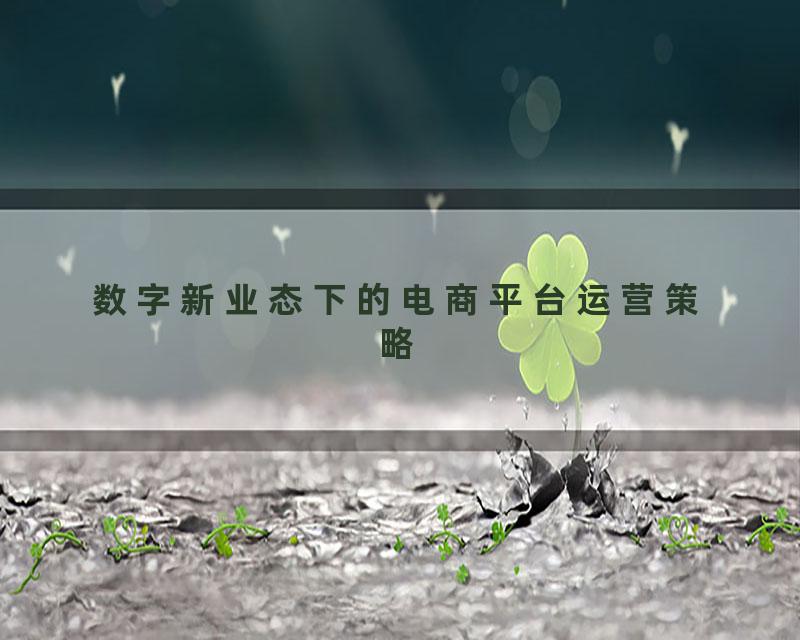 数字新业态下的电商平台运营策略