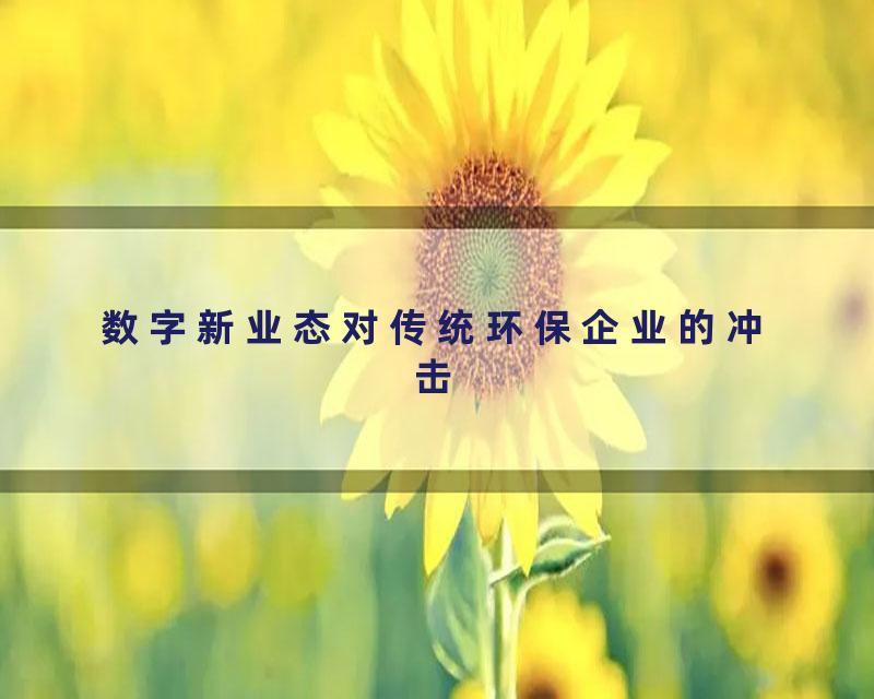 数字新业态对传统环保企业的冲击