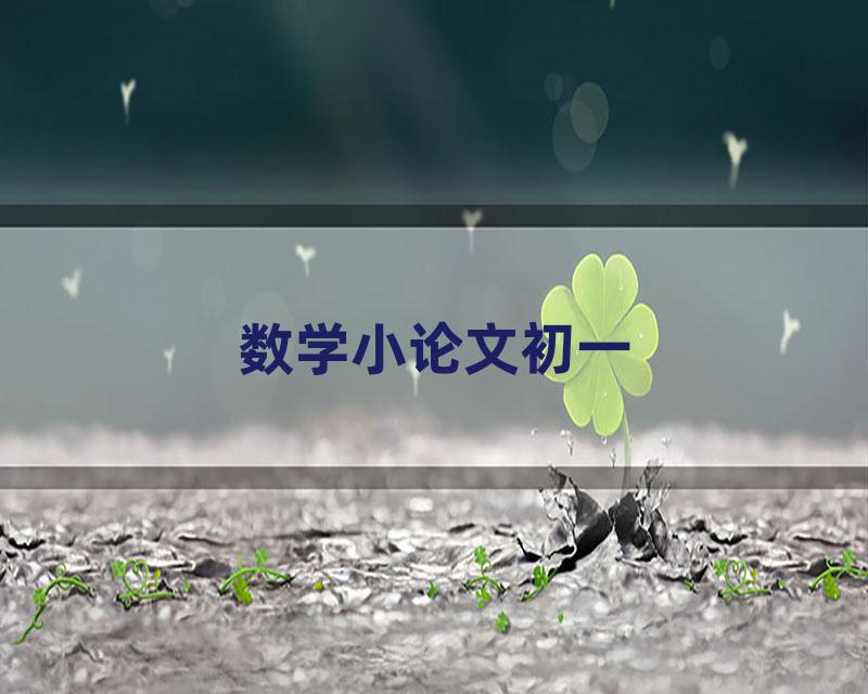 数学小论文初一
