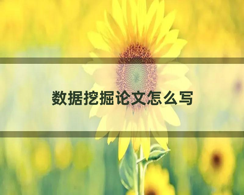 数据挖掘论文怎么写