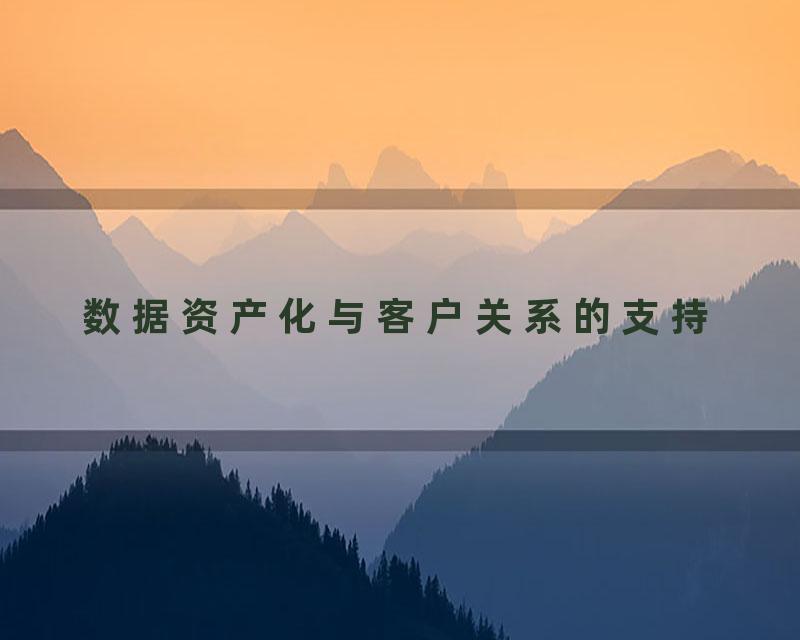 数据资产化与客户关系的支持