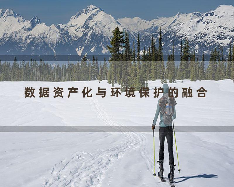 数据资产化与环境保护的融合