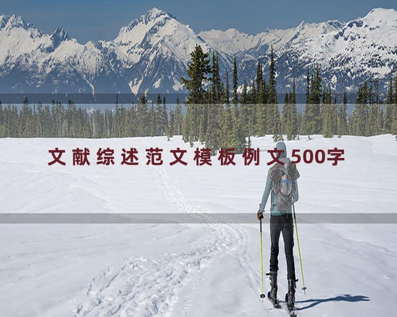 文献综述范文模板例文500字