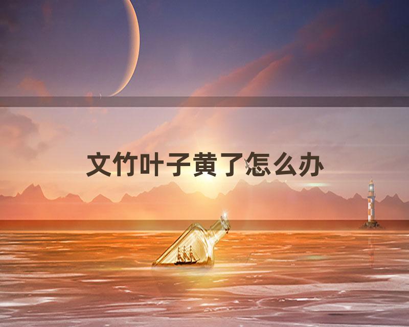 文竹叶子黄了怎么办