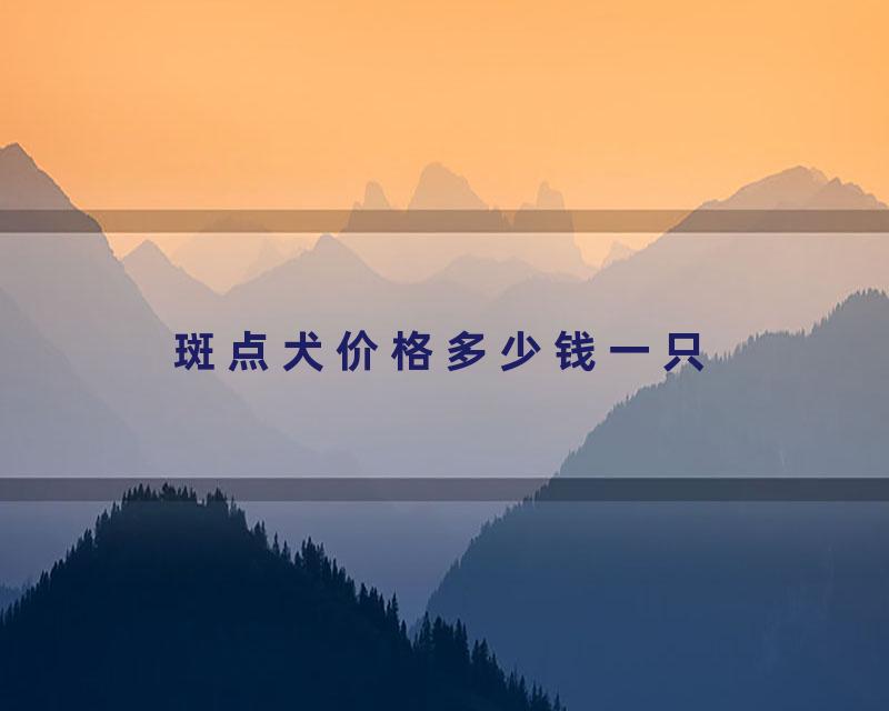 斑点犬价格多少钱一只