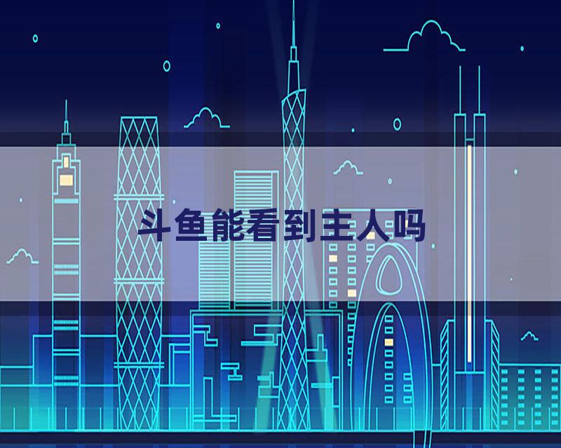 斗鱼能看到主人吗