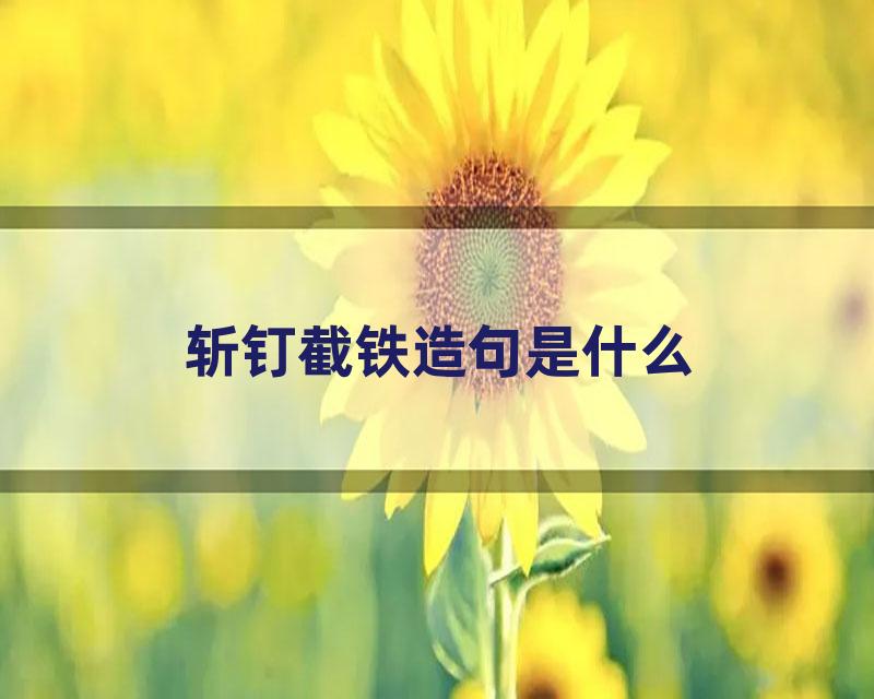 斩钉截铁造句是什么
