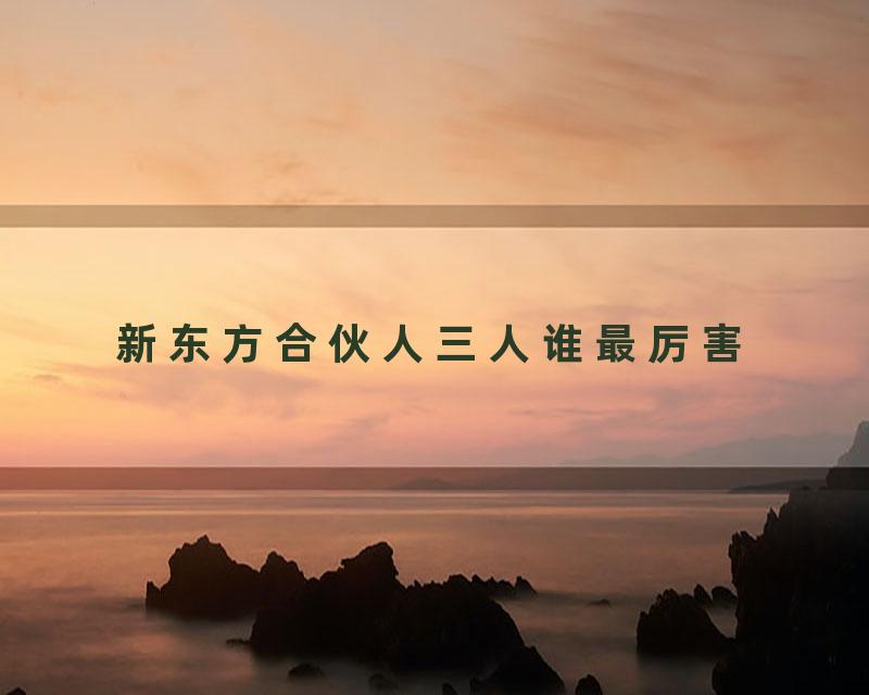 新东方合伙人三人谁最厉害