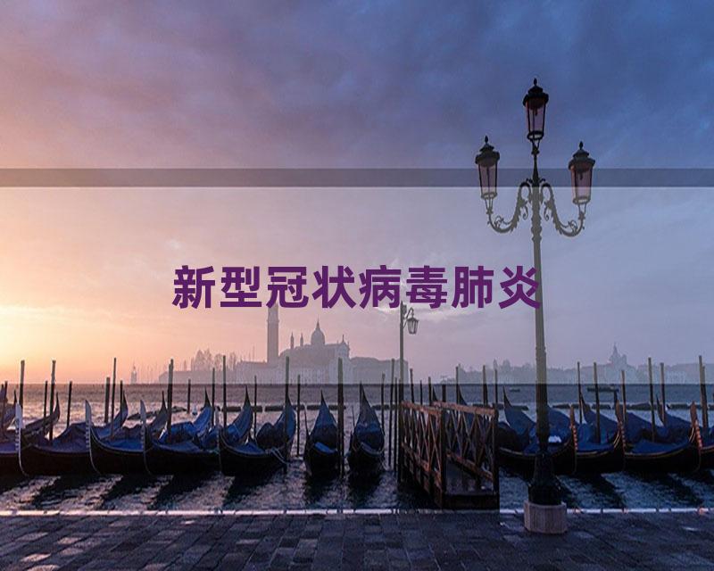 新型冠状病毒肺炎