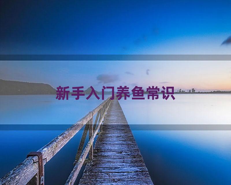 新手入门养鱼常识