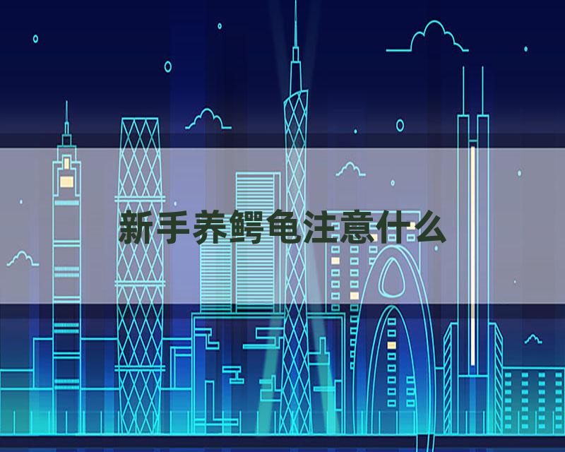 新手养鳄龟注意什么