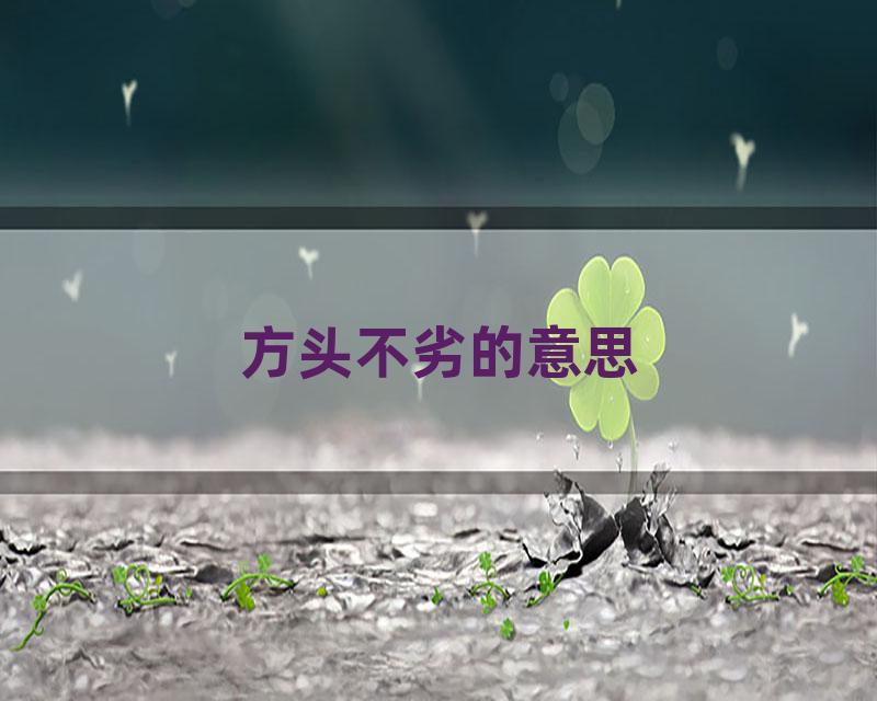 方头不劣的意思