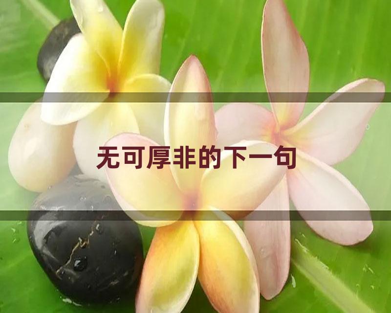 无可厚非的下一句