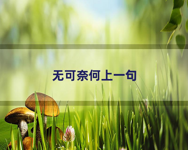 无可奈何上一句