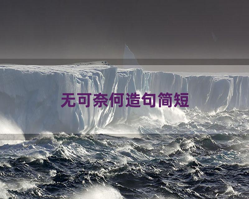 无可奈何造句简短