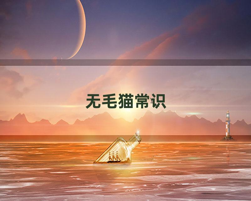 无毛猫常识