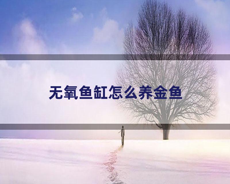 无氧鱼缸怎么养金鱼