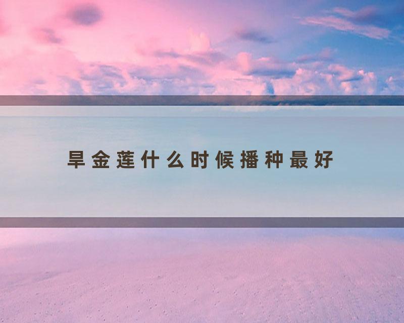 旱金莲什么时候播种最好