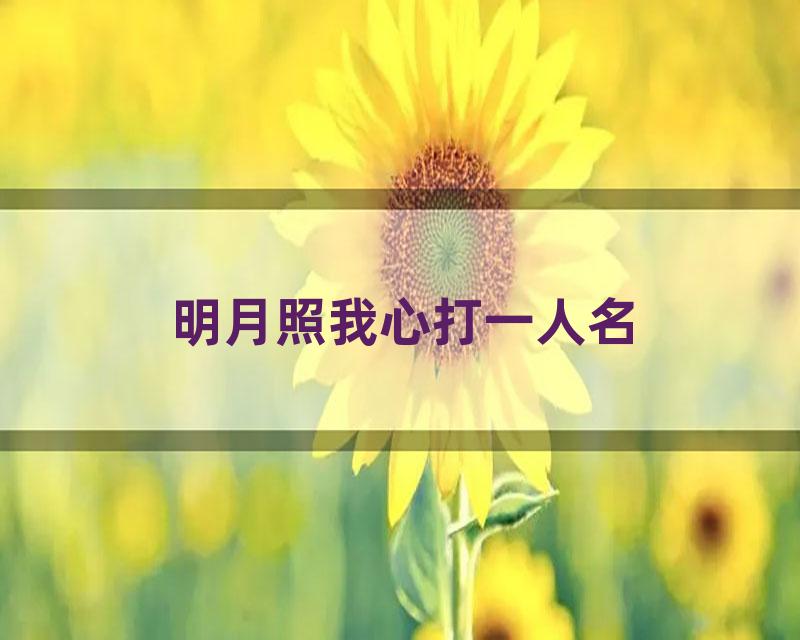 明月照我心打一人名
