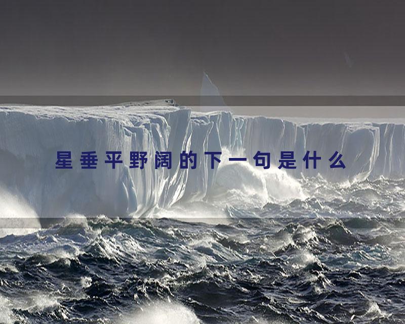 星垂平野阔的下一句是什么