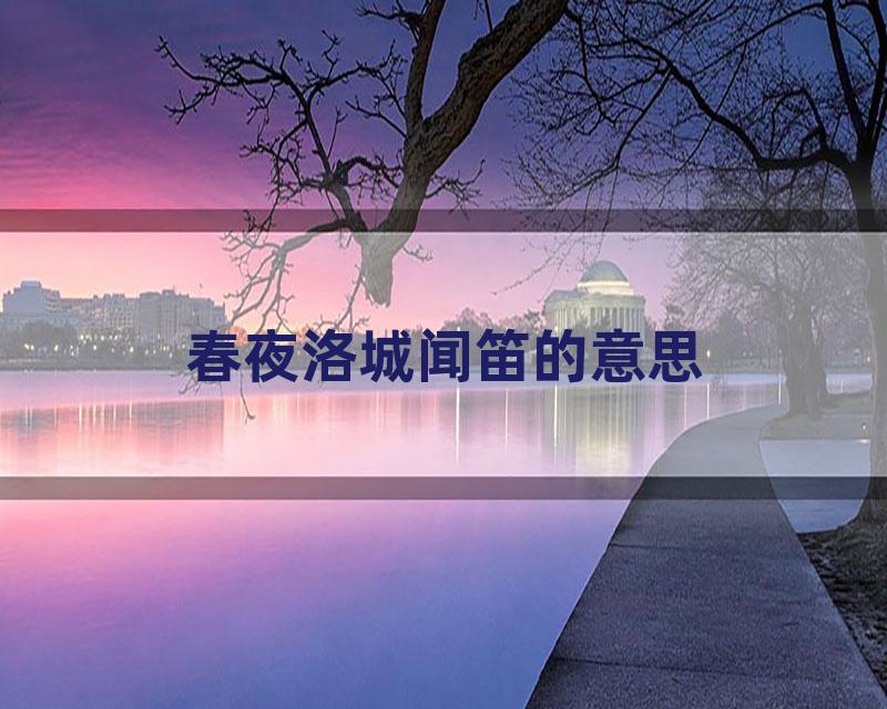 春夜洛城闻笛的意思