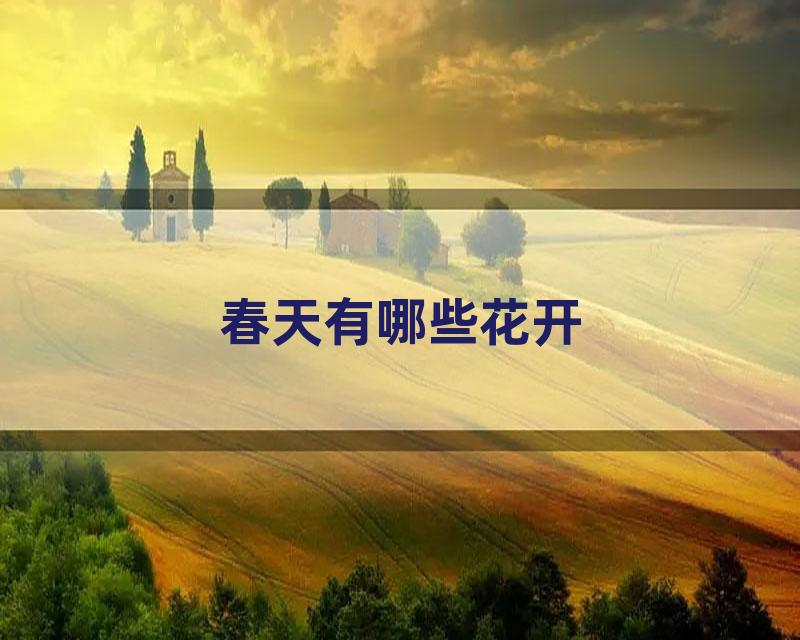 春天有哪些花开