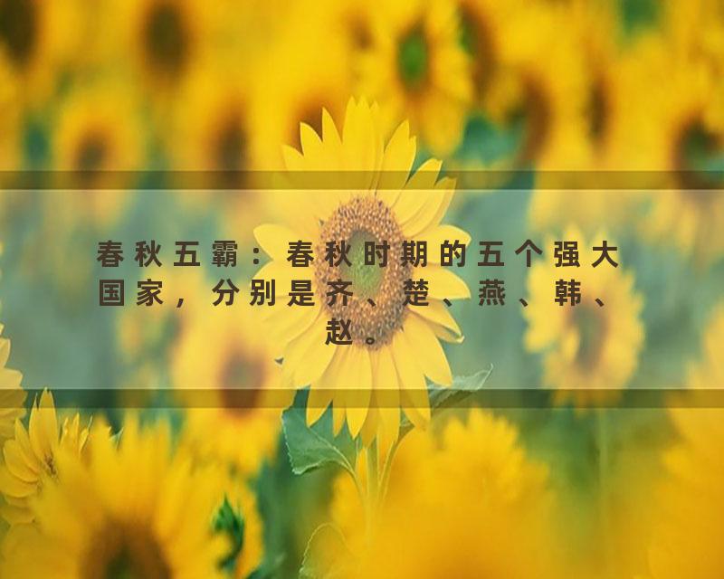 春秋五霸：春秋时期的五个强大国家，分别是齐、楚、燕、韩、赵。