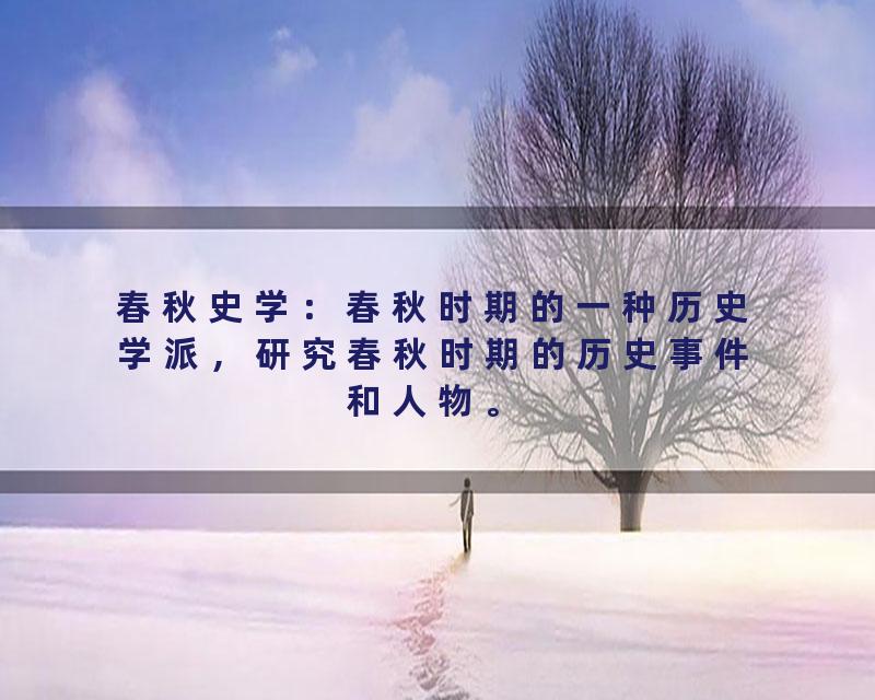 春秋史学：春秋时期的一种历史学派，研究春秋时期的历史事件和人物。