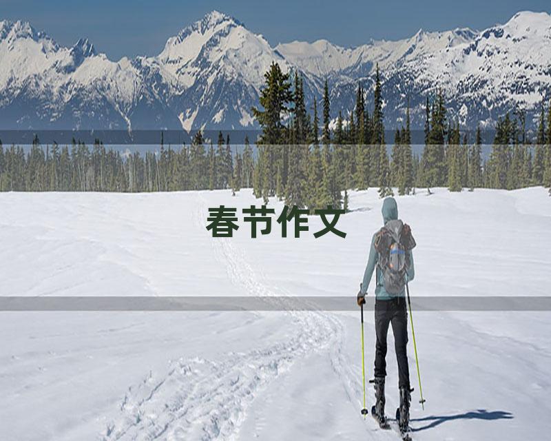 春节作文