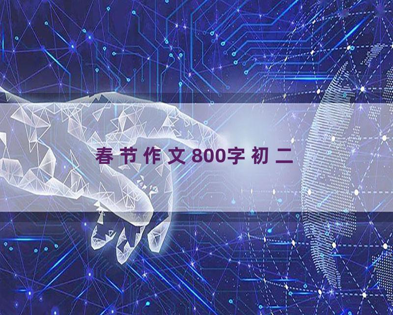 春节作文800字初二