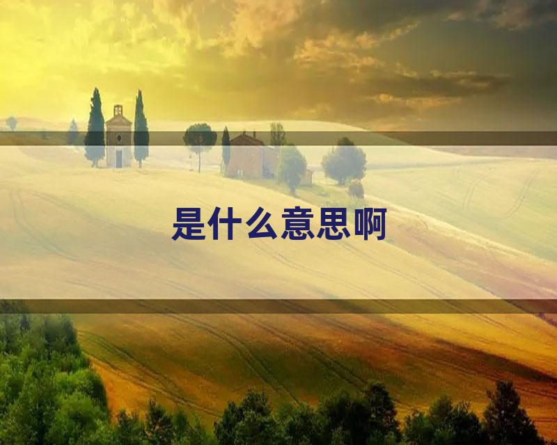 是什么意思啊