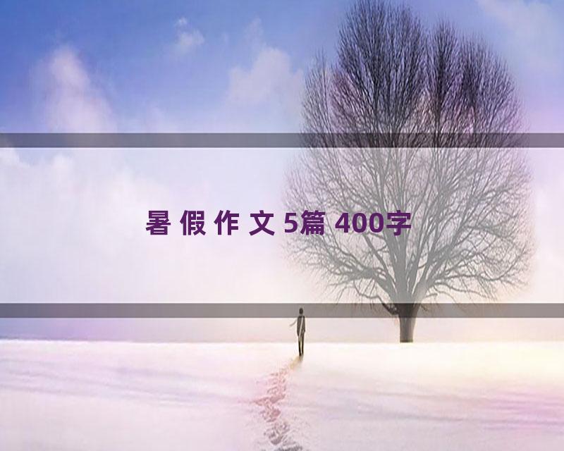 暑假作文5篇400字