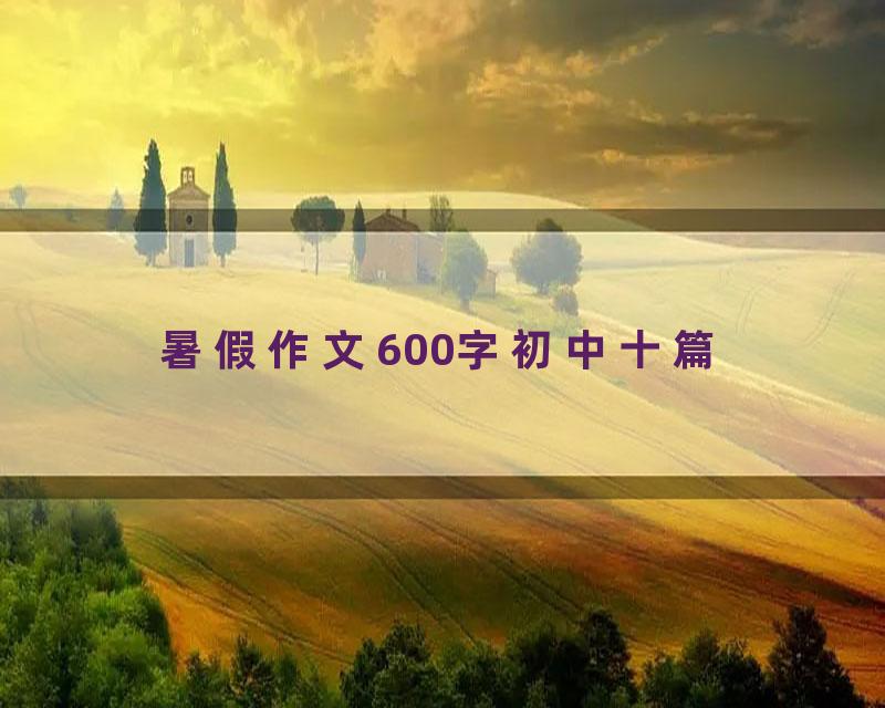 暑假作文600字初中十篇