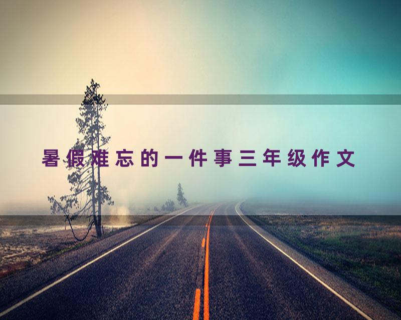 暑假难忘的一件事三年级作文