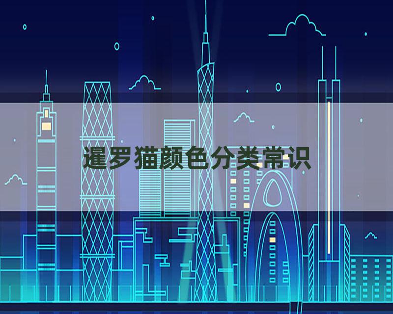 暹罗猫颜色分类常识