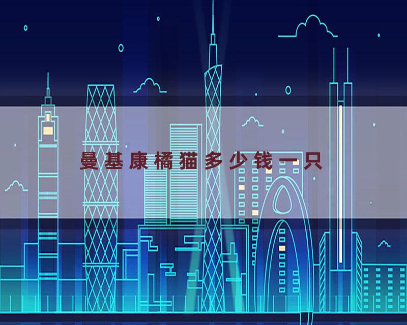 曼基康橘猫多少钱一只