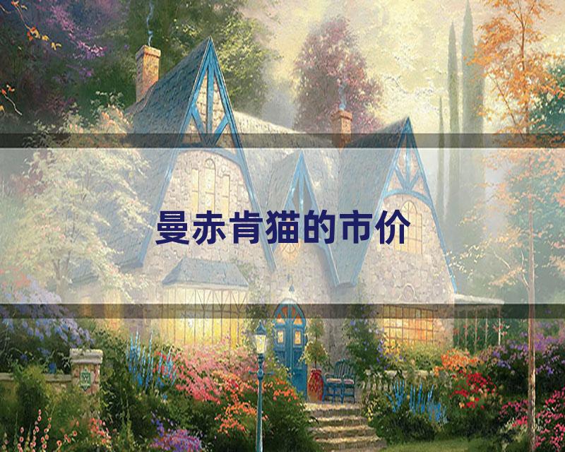 曼赤肯猫的市价
