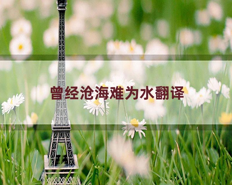 曾经沧海难为水翻译