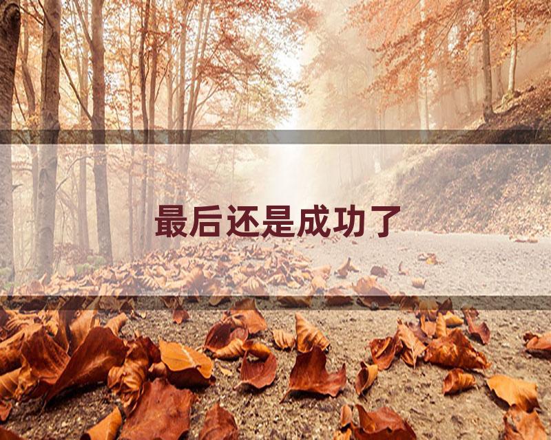 最后还是成功了