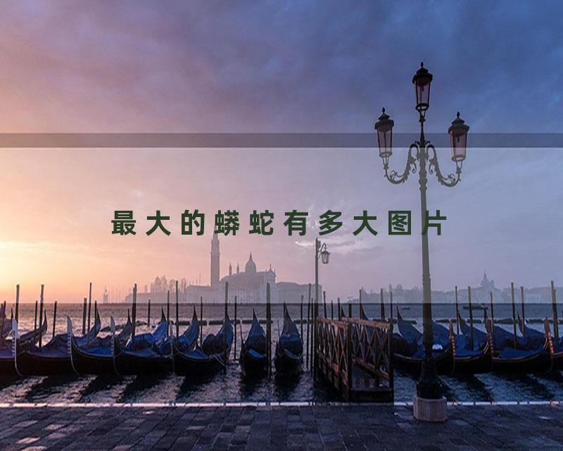 最大的蟒蛇有多大图片