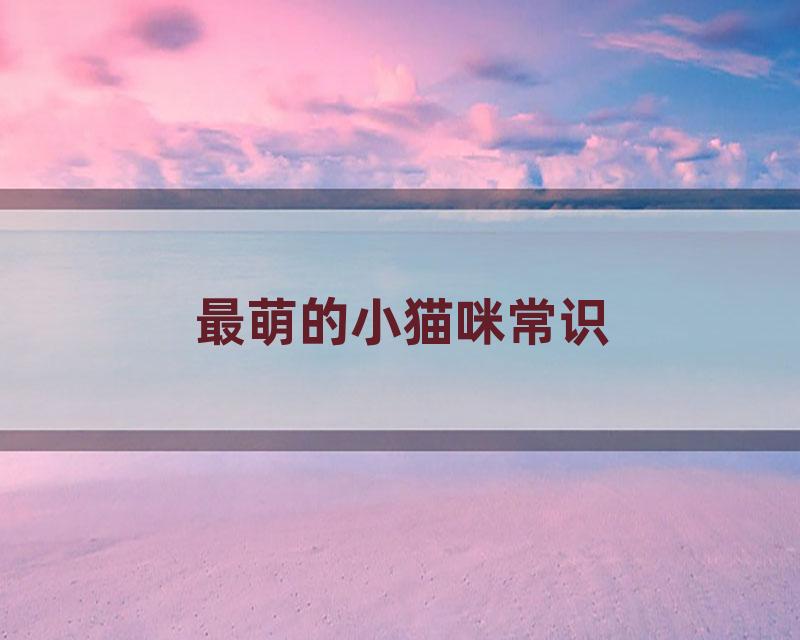 最萌的小猫咪常识