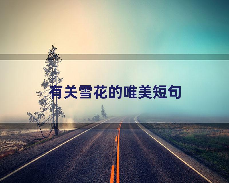 有关雪花的唯美短句