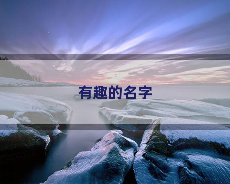 有趣的名字