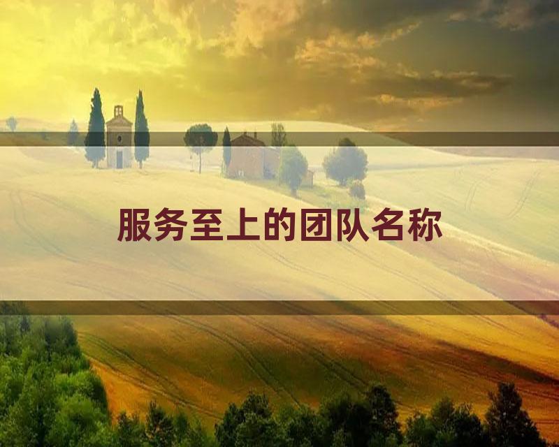 服务至上的团队名称